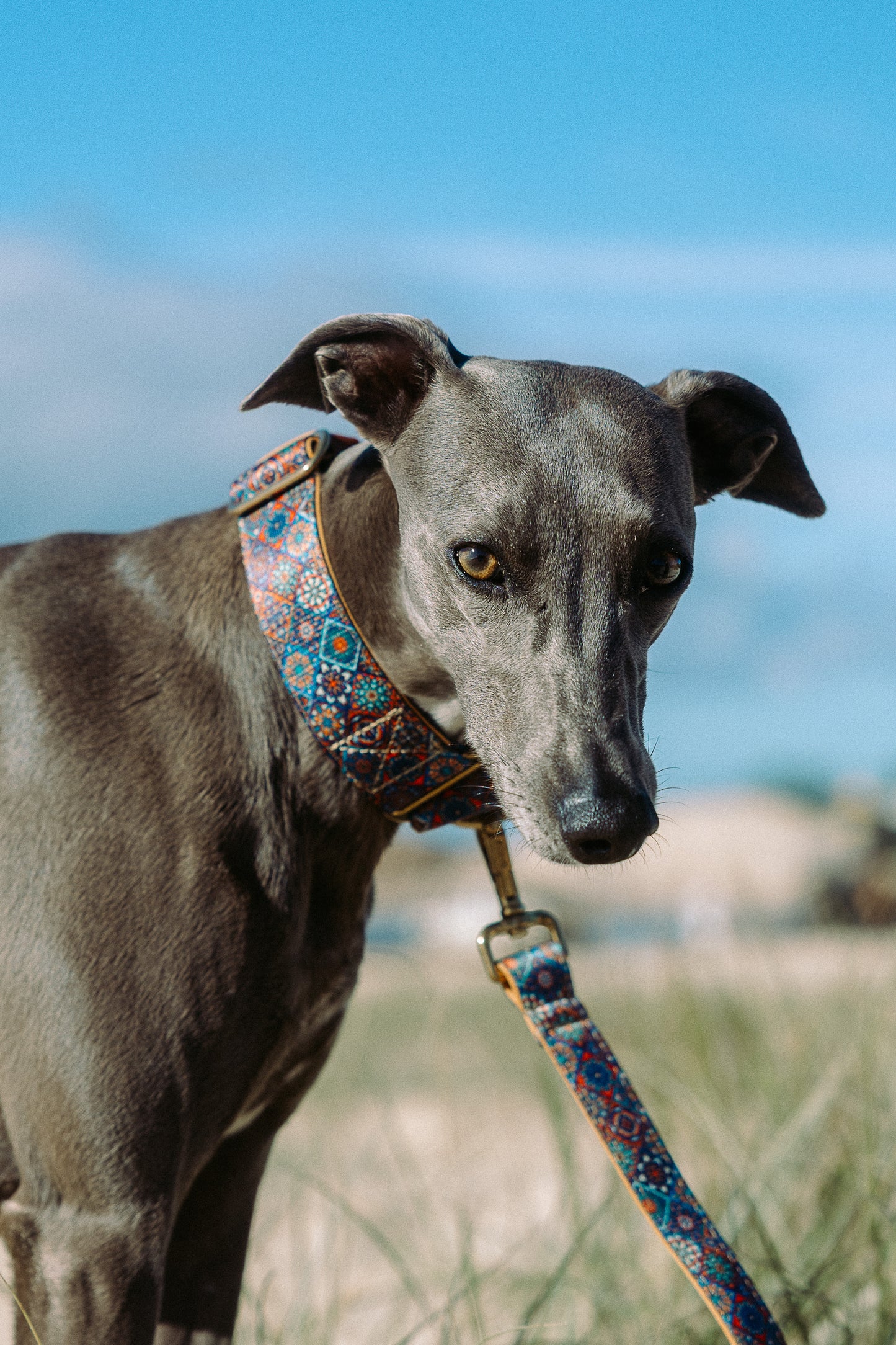 Mosaic pattern dog leash - neoprene padded with solid brass clip