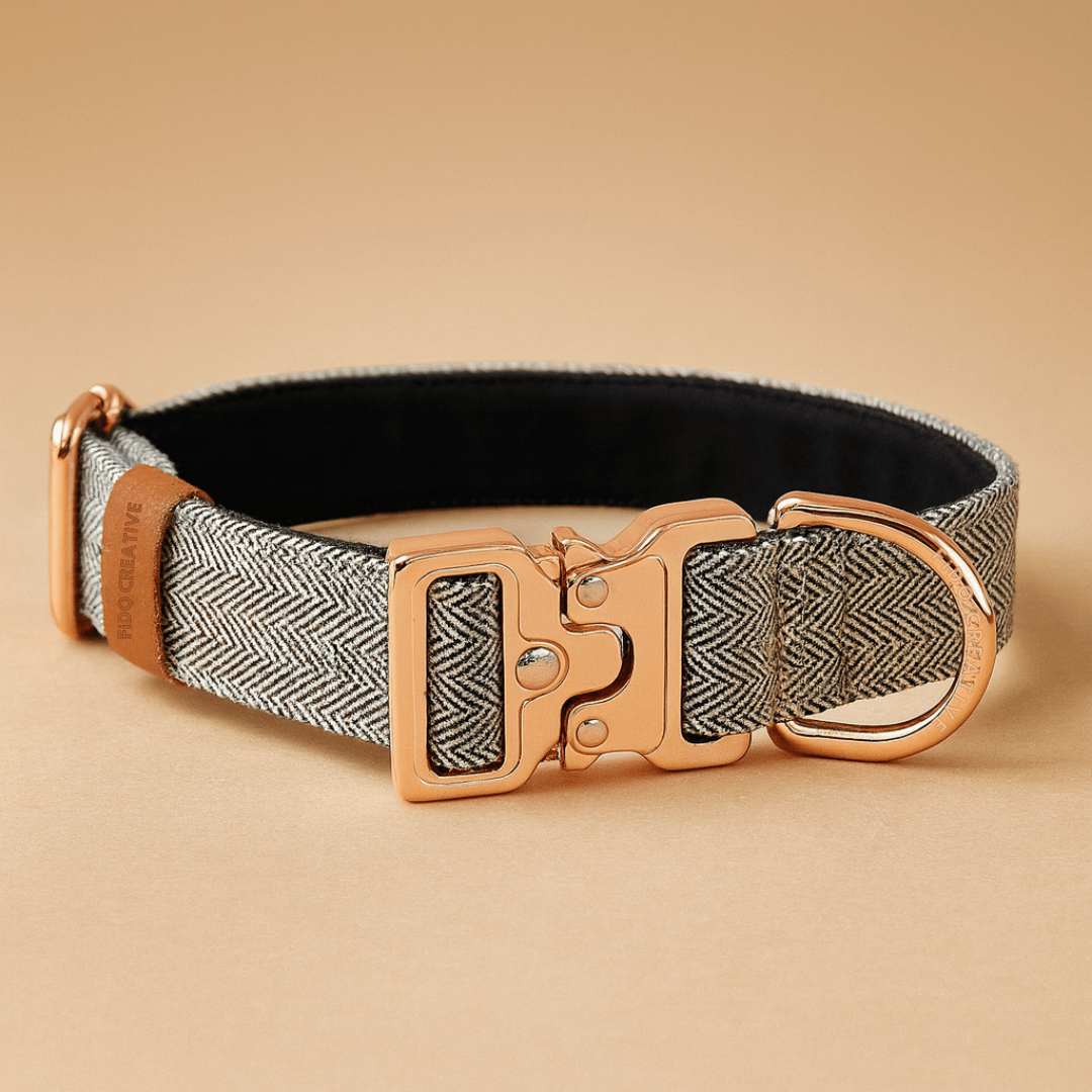 Herringbone buckle dog collar