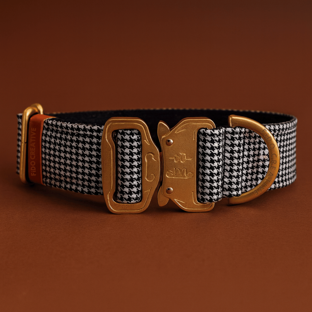 Black and white dog collar