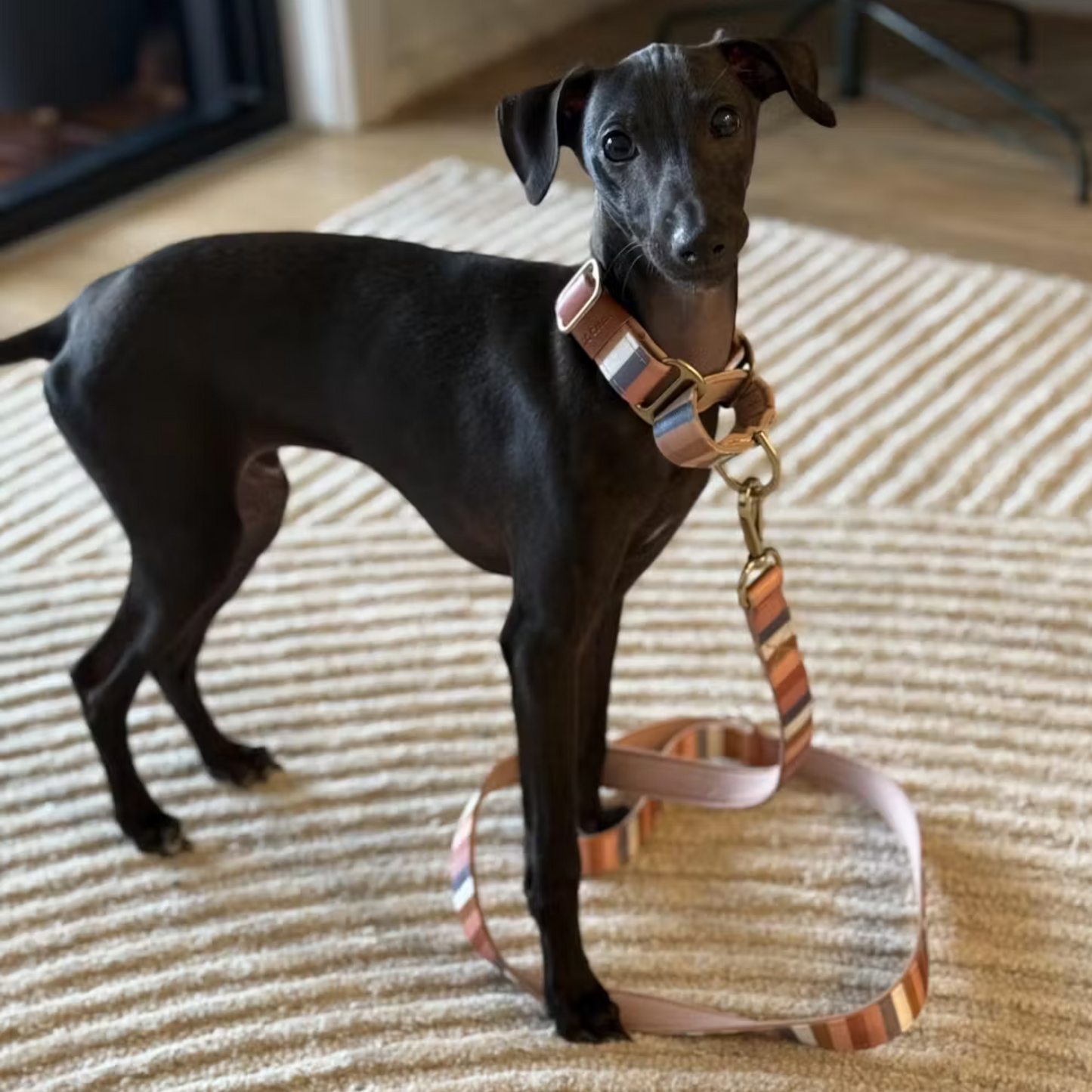 Nude Stripe Martingale collar - Padded
