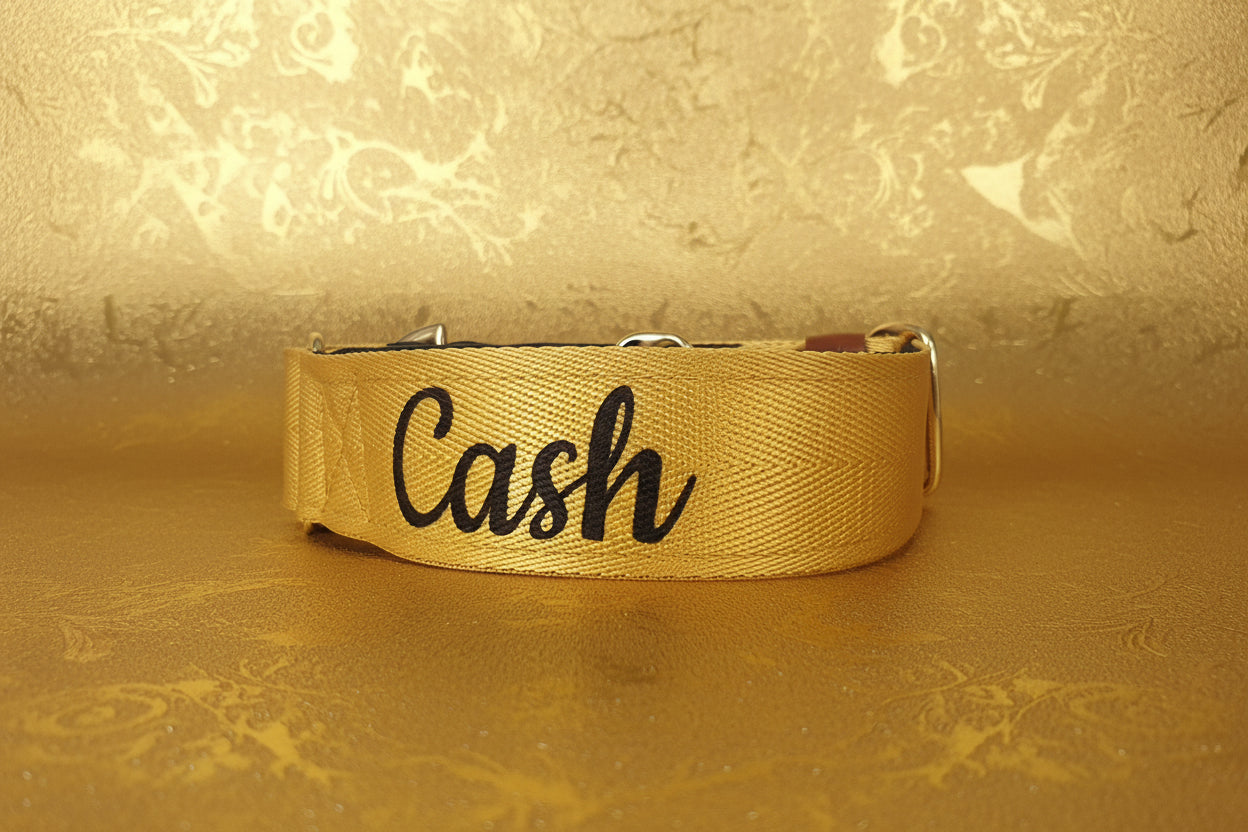 Yellow padded dog collar with buckle - Optional personalisation