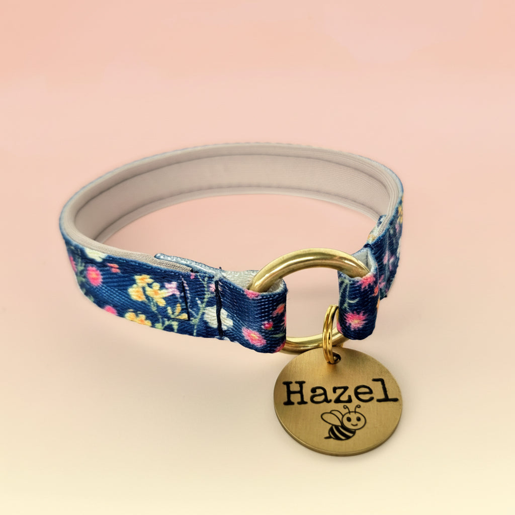 Clip Up House Collar, Padded for Comfort - Personalised Identification Dog Collar