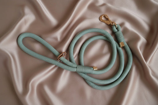 Green rope dog leash with gold clasp