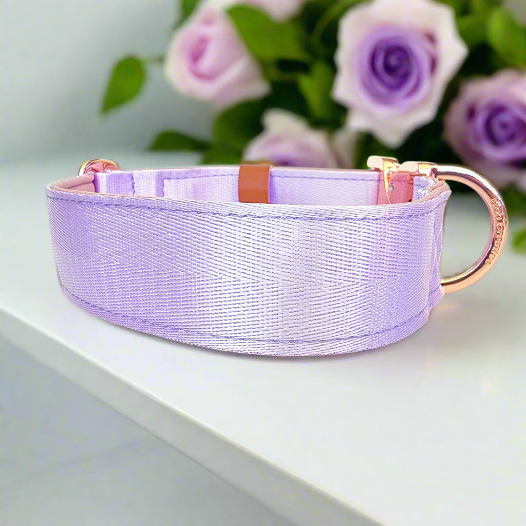 Light purple martingale dog collar