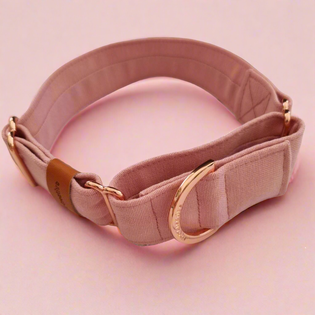 Dusty Pink martingale collar - Cotton Canvas