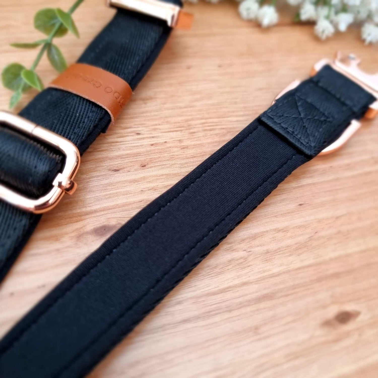 black padded dog collar