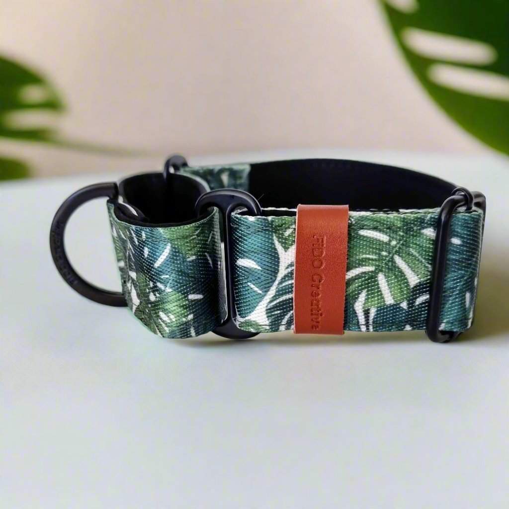 Tropical whippet collar 