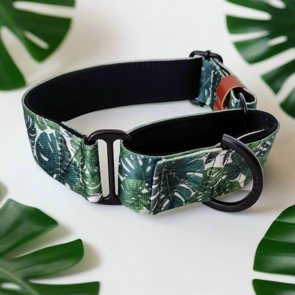 Tropical leaf greyhound collar