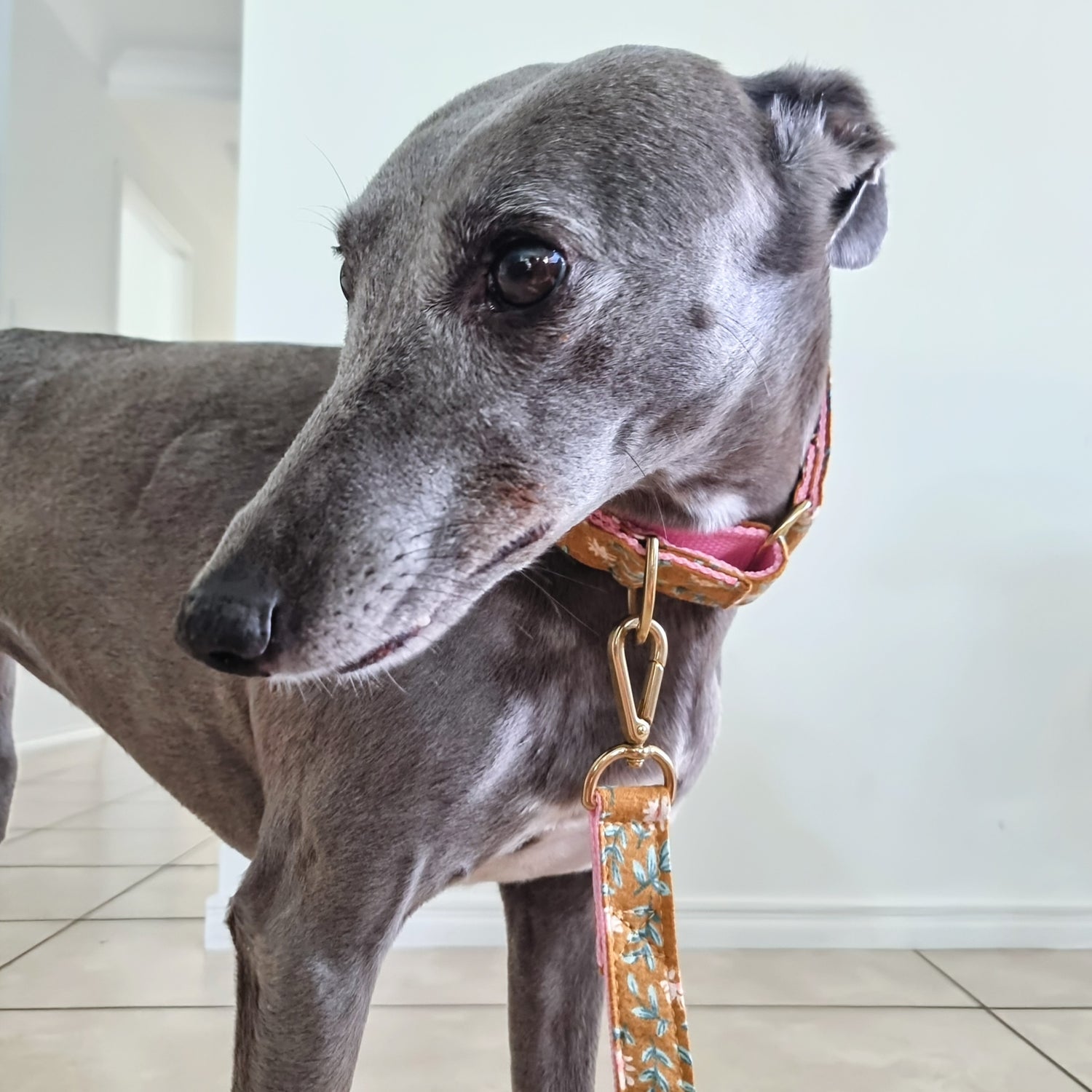 Floral whippet collar 