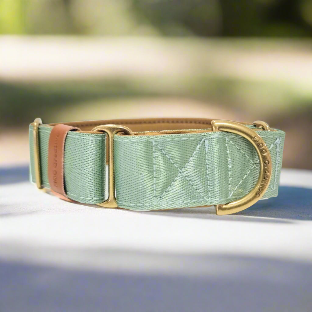 Sage green martingale collar with solid brass 