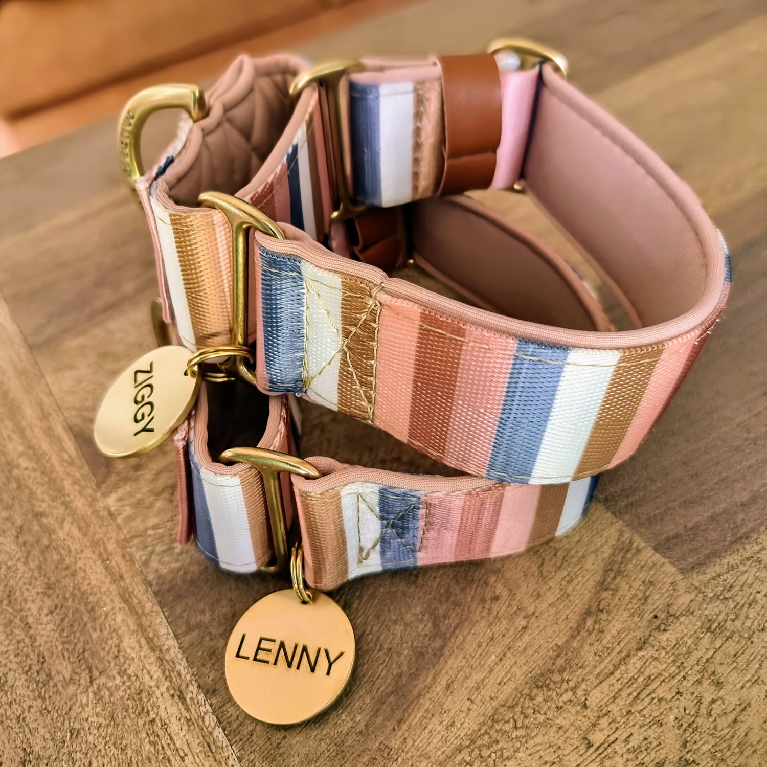 Martingale collars with solid brass identification tag