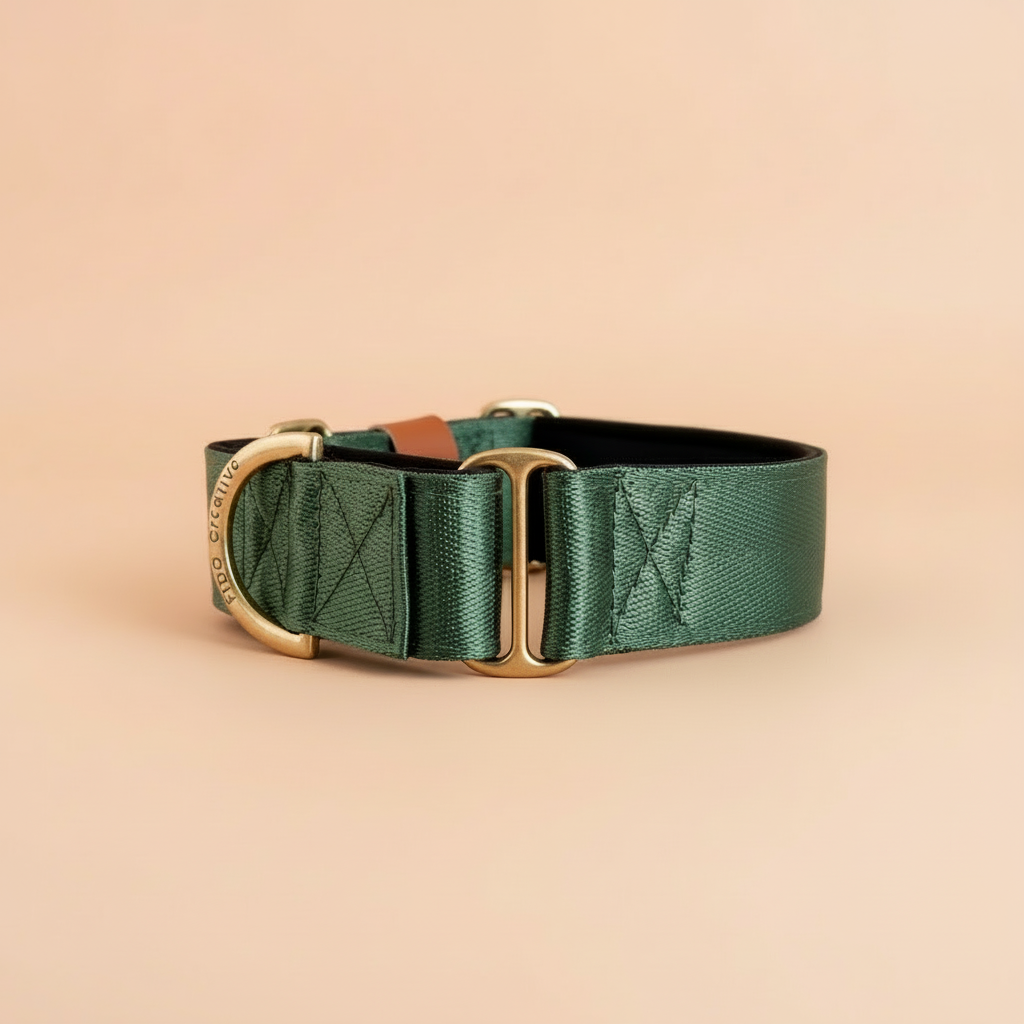 Green Martingale collar - Padded