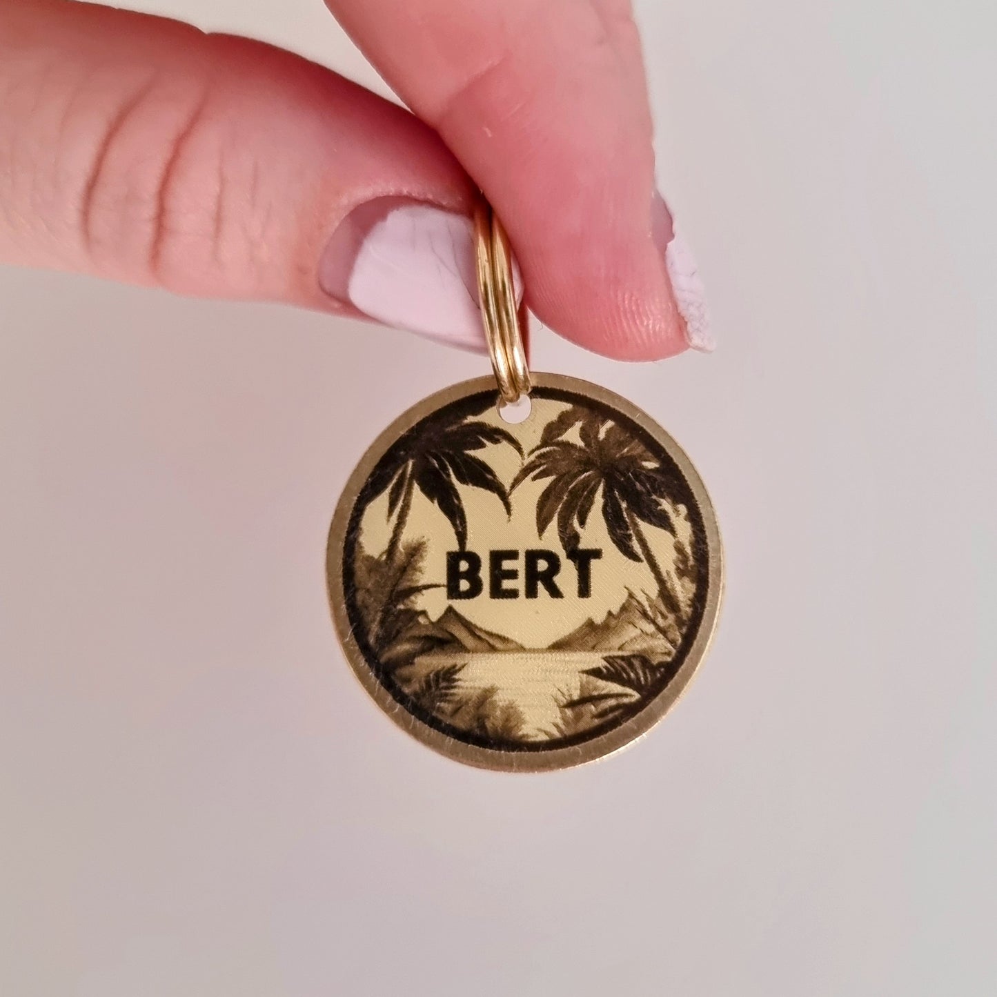 High quality solid brass pet ID tag