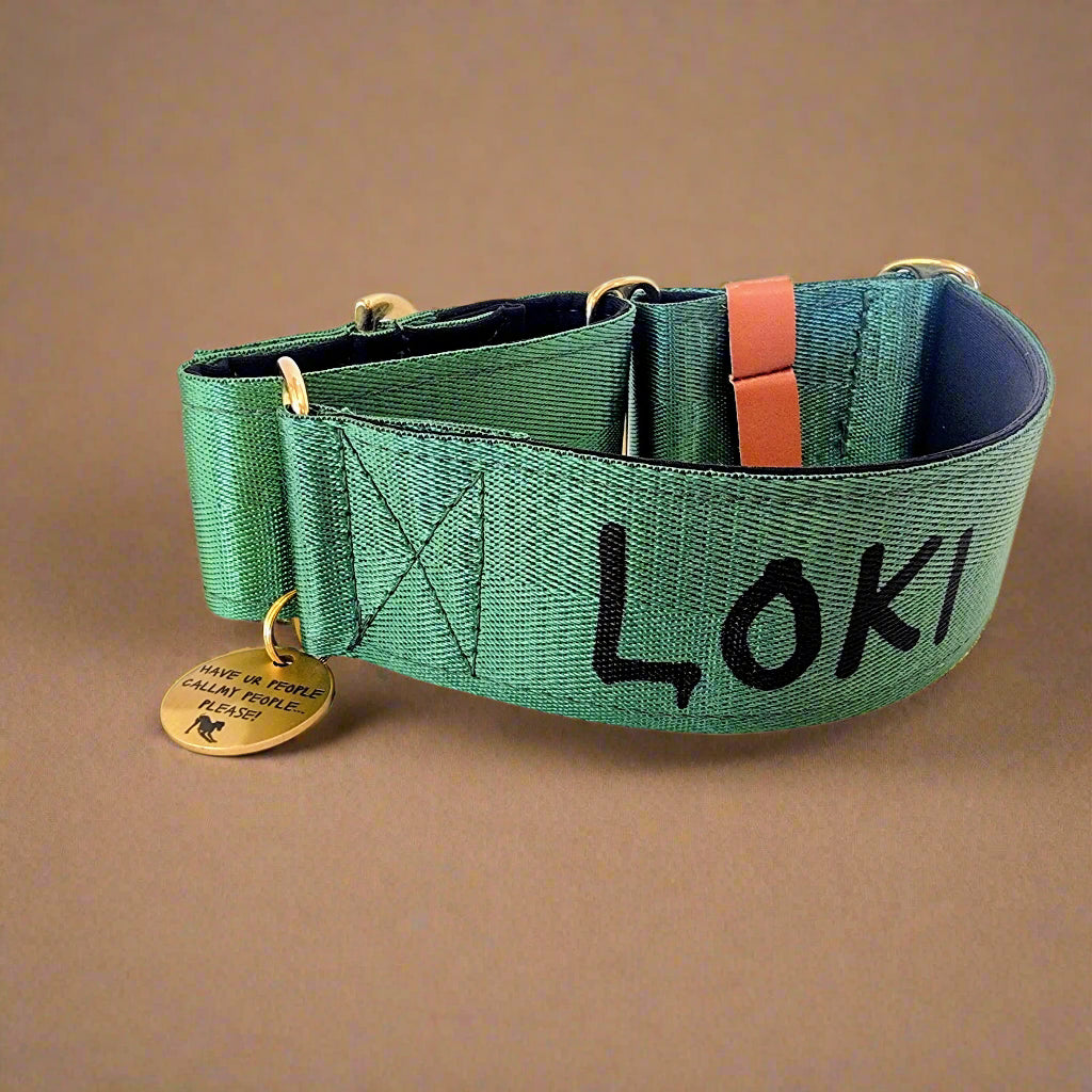Custom green dog collar