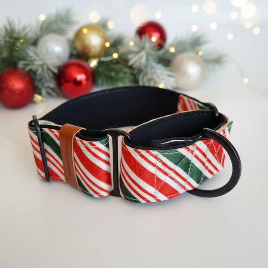 Christmas green and red striped dog collar