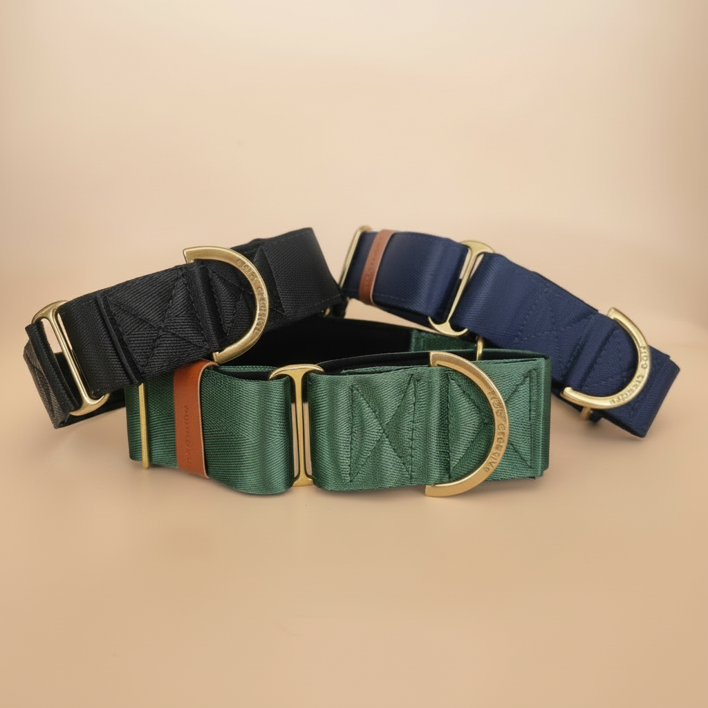 Black Martingale Dog Collar Padded for comfort, Durable for Training