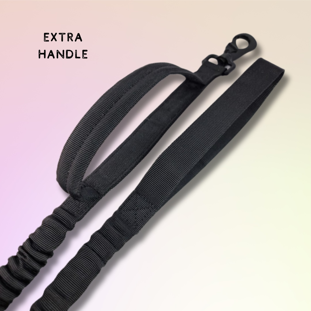 Bungee leash with traffic handle