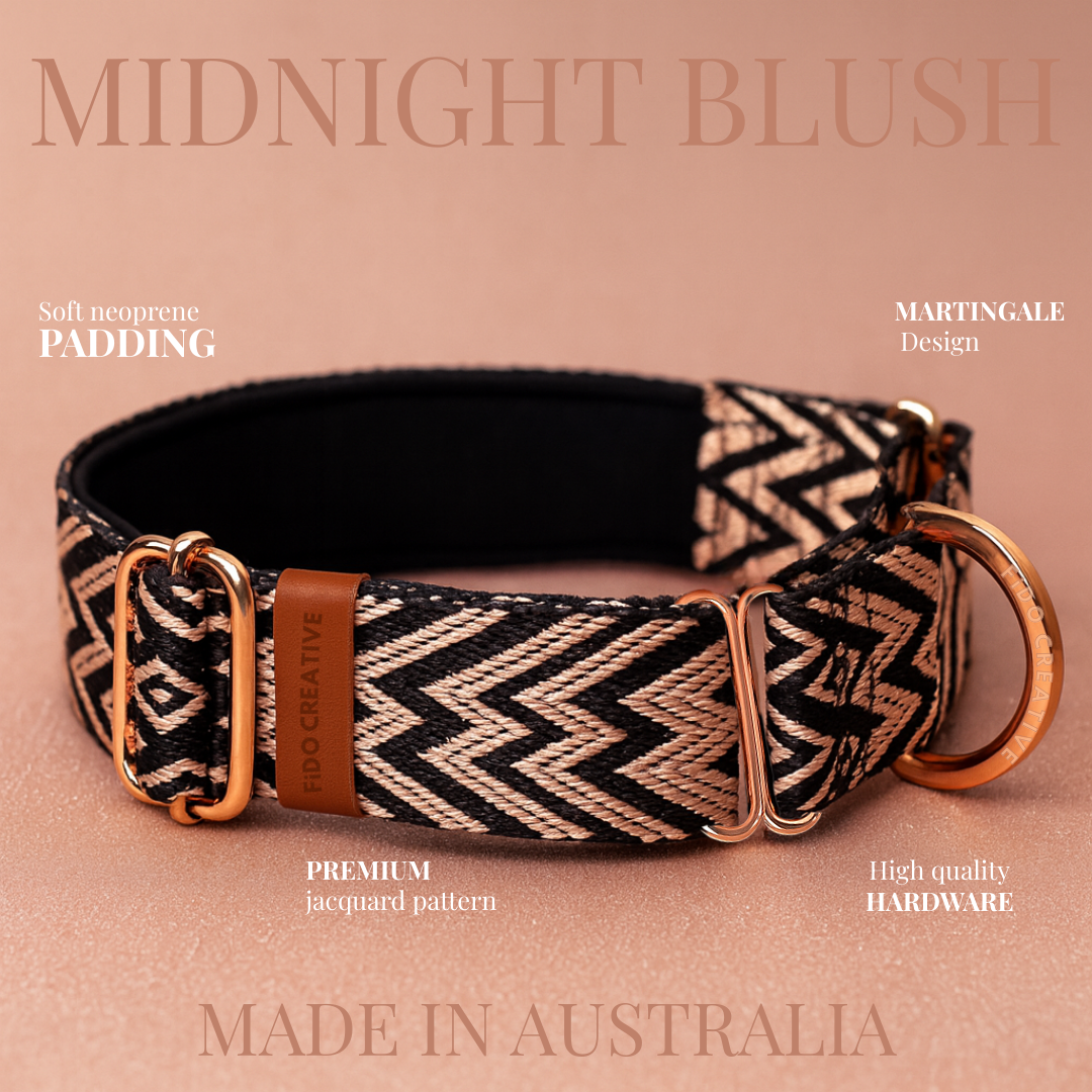 Greyhound martingale collar