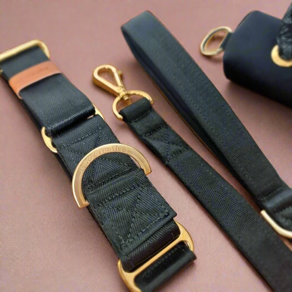 Black and gold dog accessories 