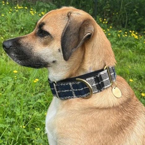 blue tartan martingale collar