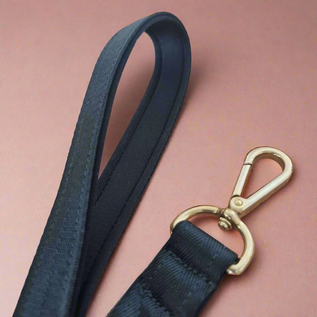 Padded dog leash with solid brass clip