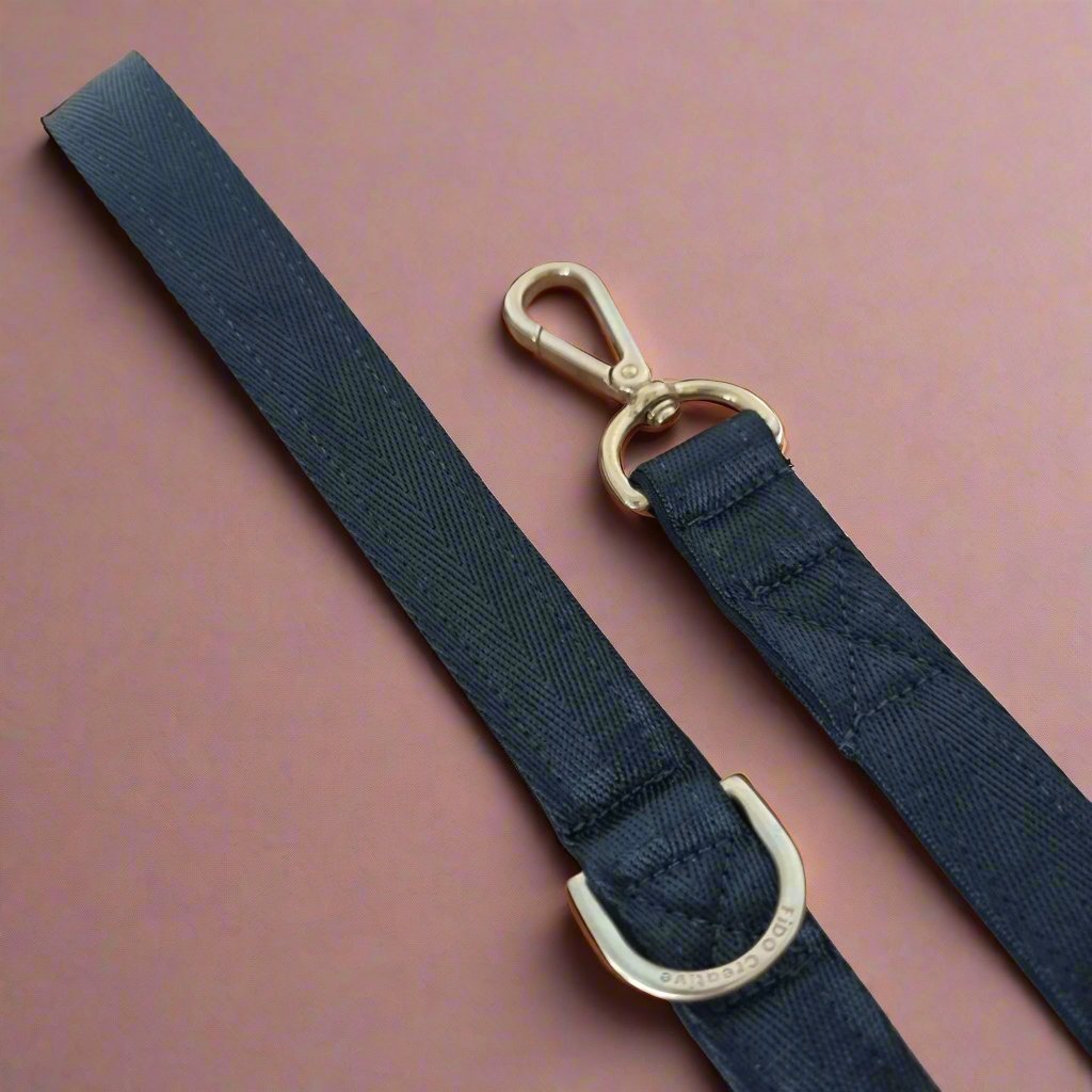 Black and gold dog leash 
