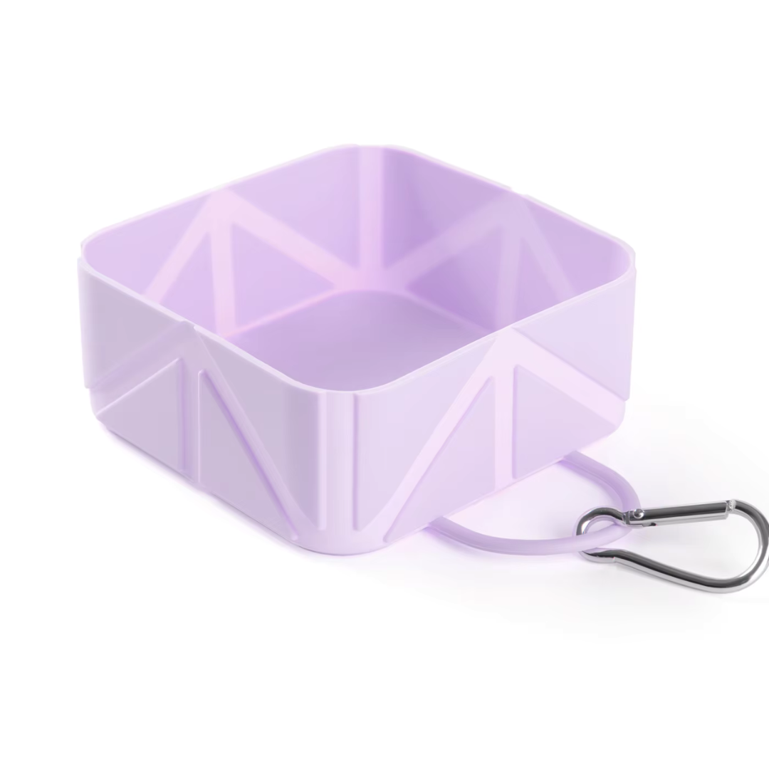 Foldable Dog Bowl | Portable Travel Pet Feeder with Carabiner