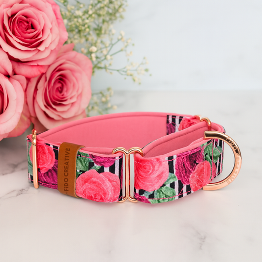 Girl dog martingale collar