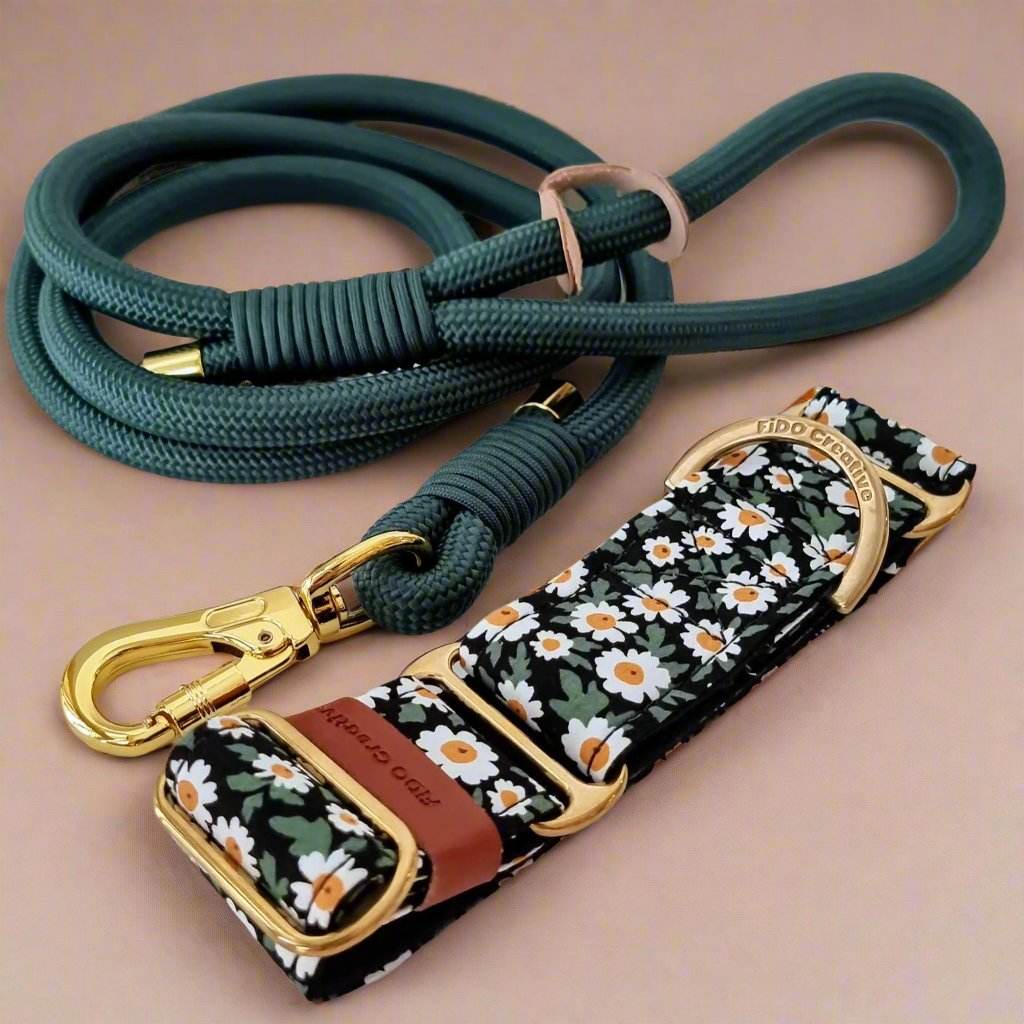 Hunter green dog leash 