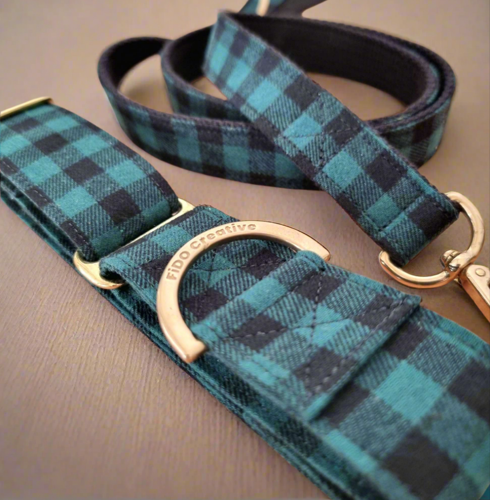 Green martingale collar and leash set 
