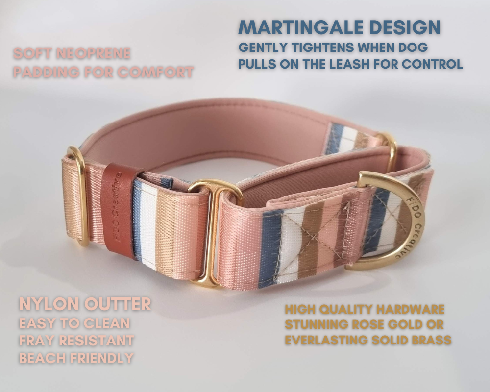 Gold padded martingale dog collar