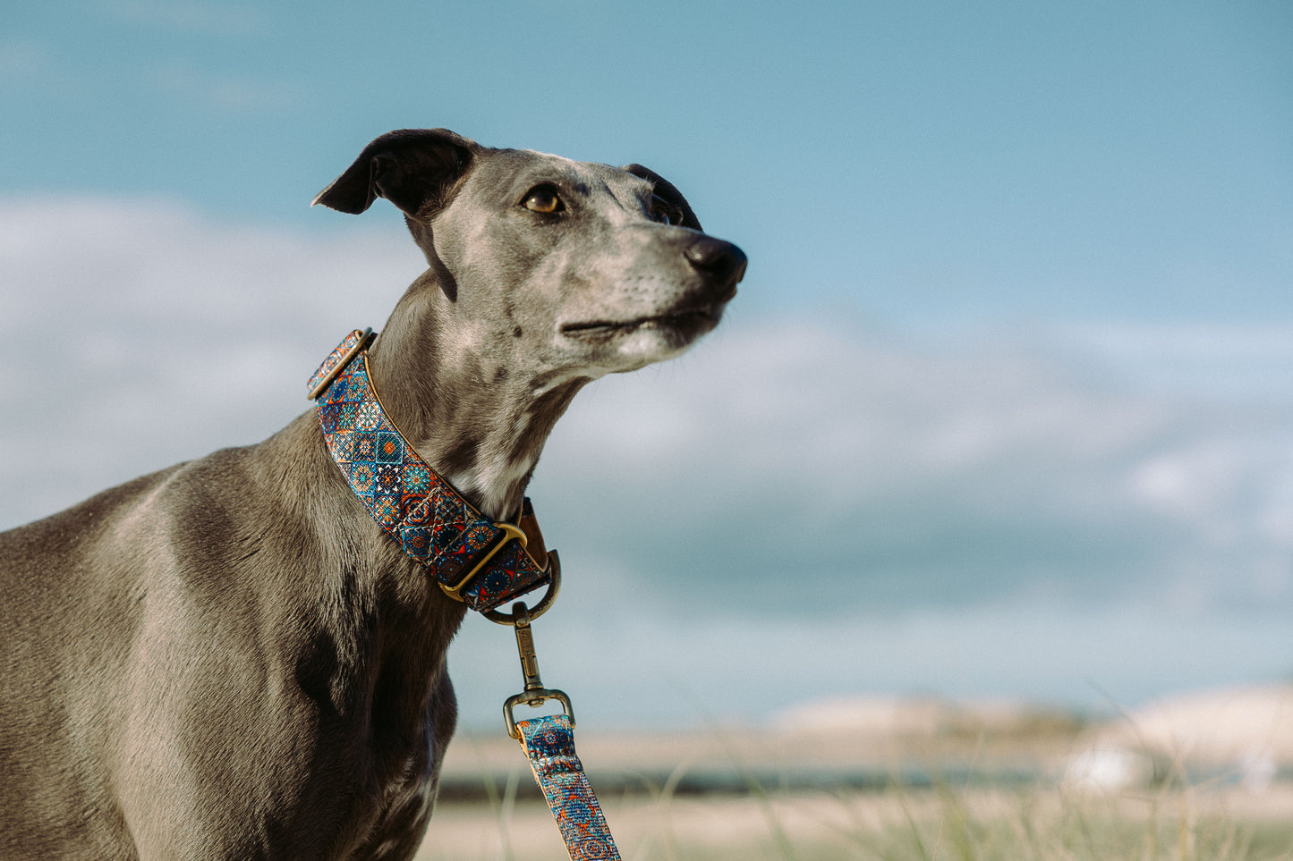 Mosaic pattern dog leash - neoprene padded with solid brass clip