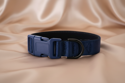 Navy blue dog collar with black hardware