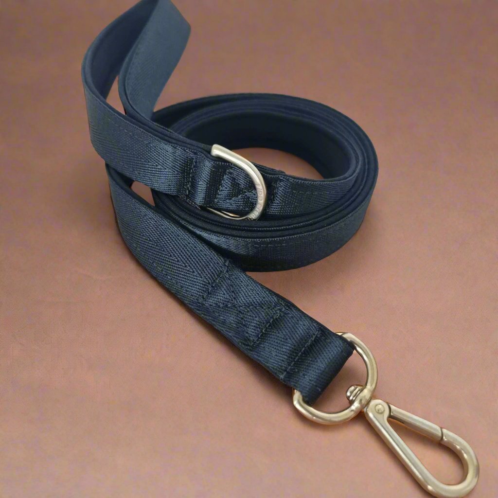 Black dog leash