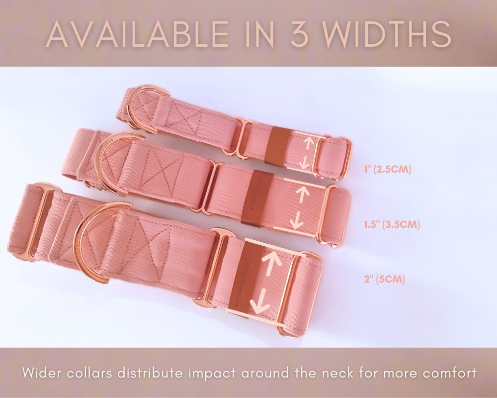 Dusty Pink martingale collar - Cotton Canvas