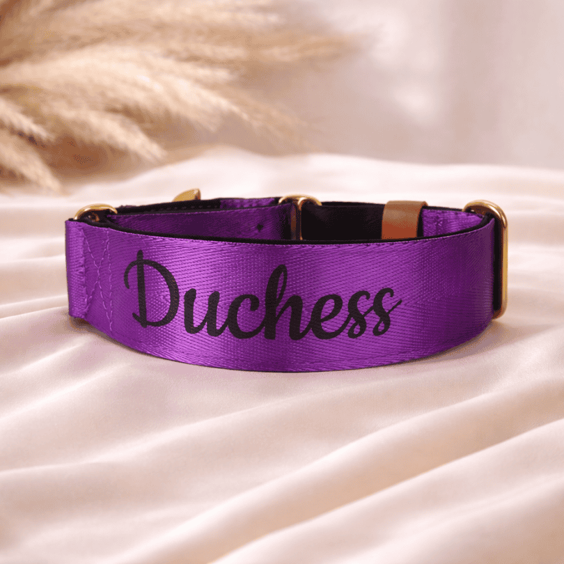 Personalised dog collar - purple