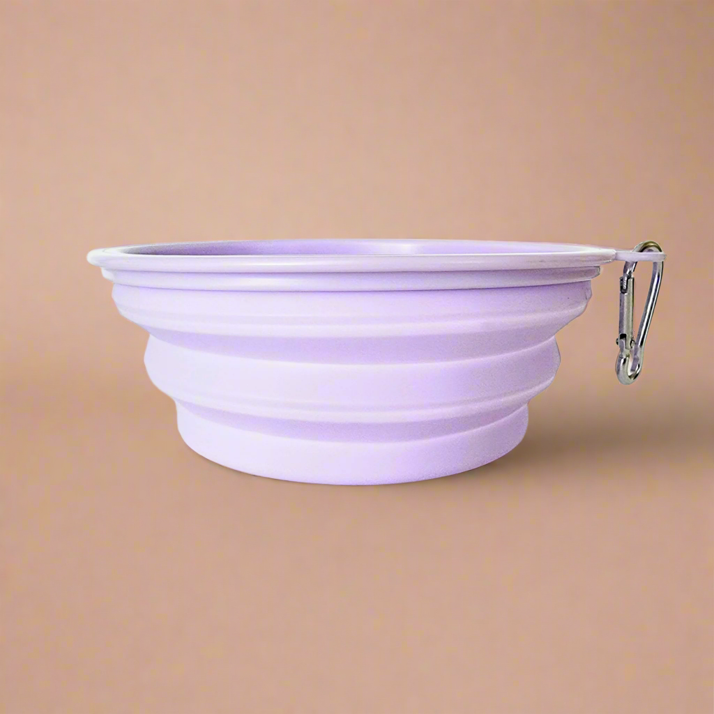Purple dog bowl
