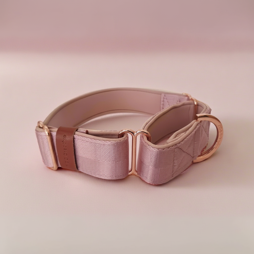 Pink Martingale collar with rose gold hardware, lined with soft padding