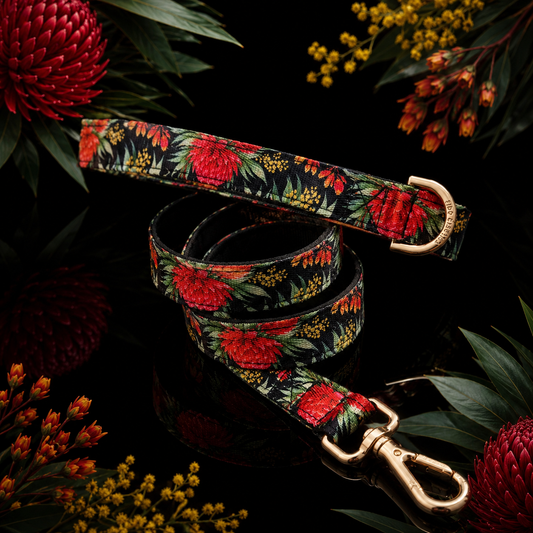 Waratah Dog Leash - Padded