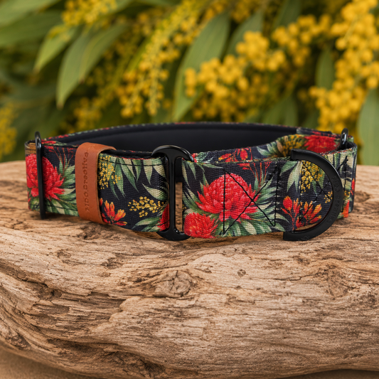 Floral-patterned  martingale dog collar on a wooden surface with a natural background