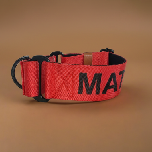 Red Martingale Dog Collar – Padded, personalised with Dog’s Name Optional