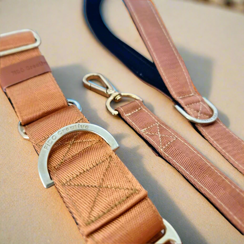 Brown martingale collar and leash set