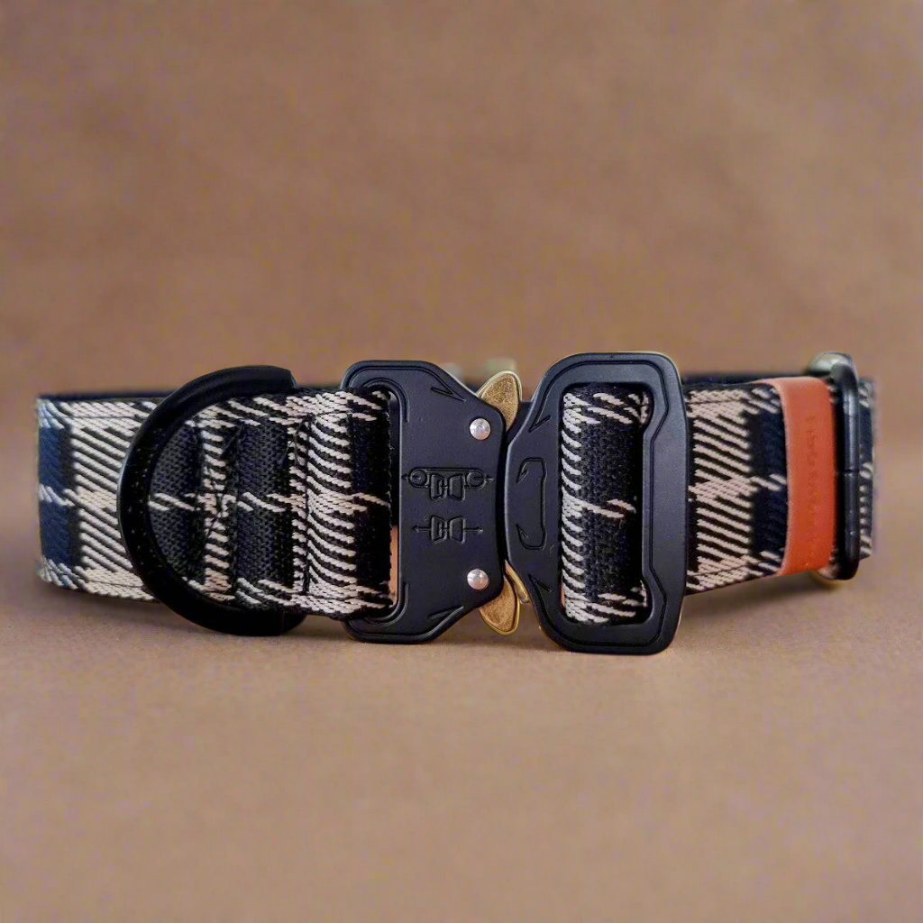 Blue plaid jacquard buckle dog collar - neoprene padded - 38mm