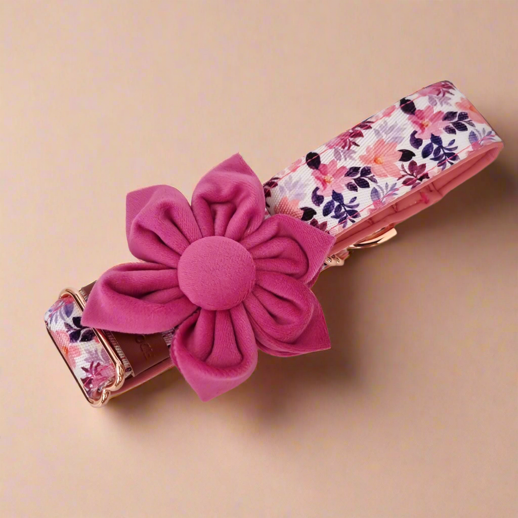 Dog collar with flower attached 