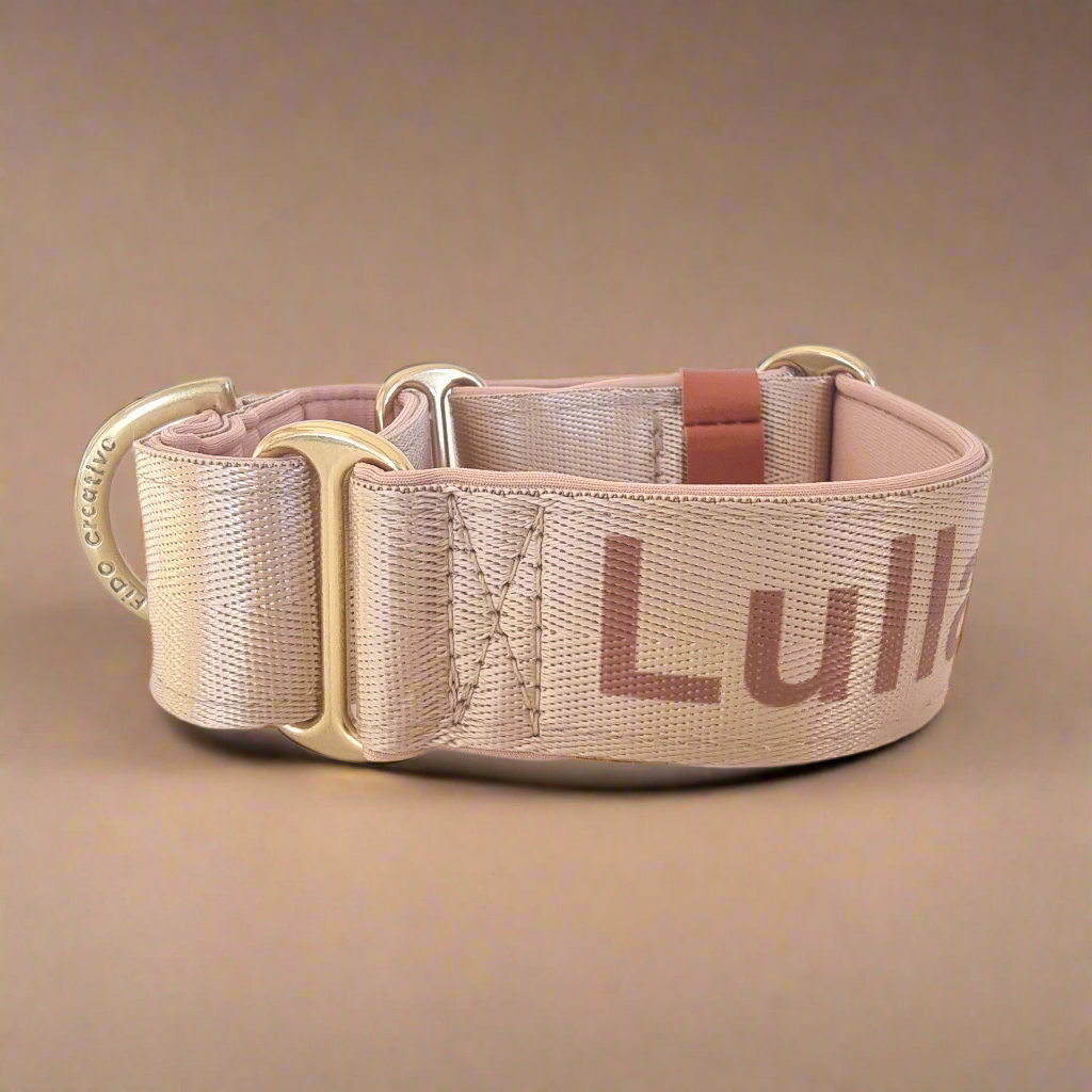 Beige Martingale collar with personalised name