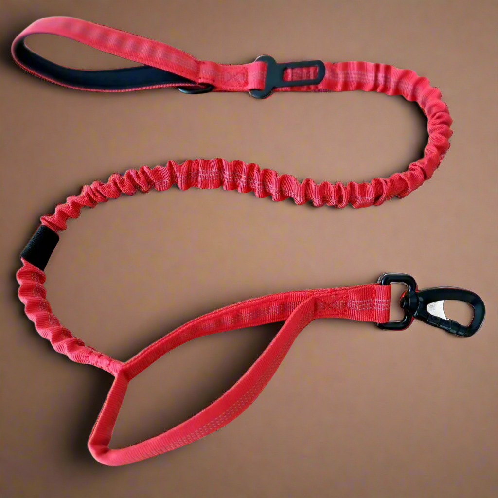 Red Bungee Dog Leash - Reflective - Seatbelt attachment