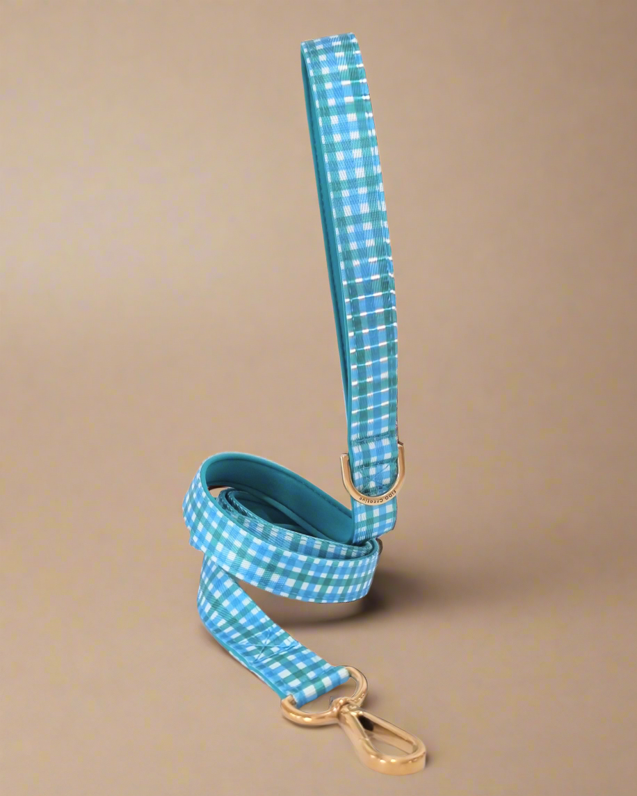 Dog Leash Blue Green Gingham - Neoprene Padded