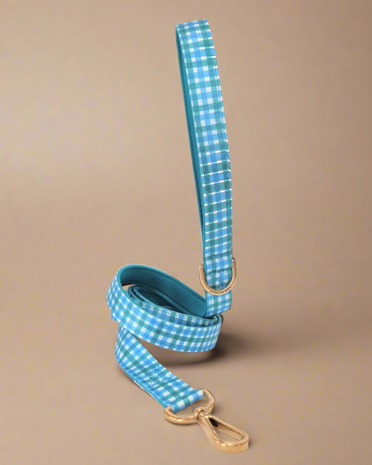 Dog Leash Blue Green Gingham - Neoprene Padded