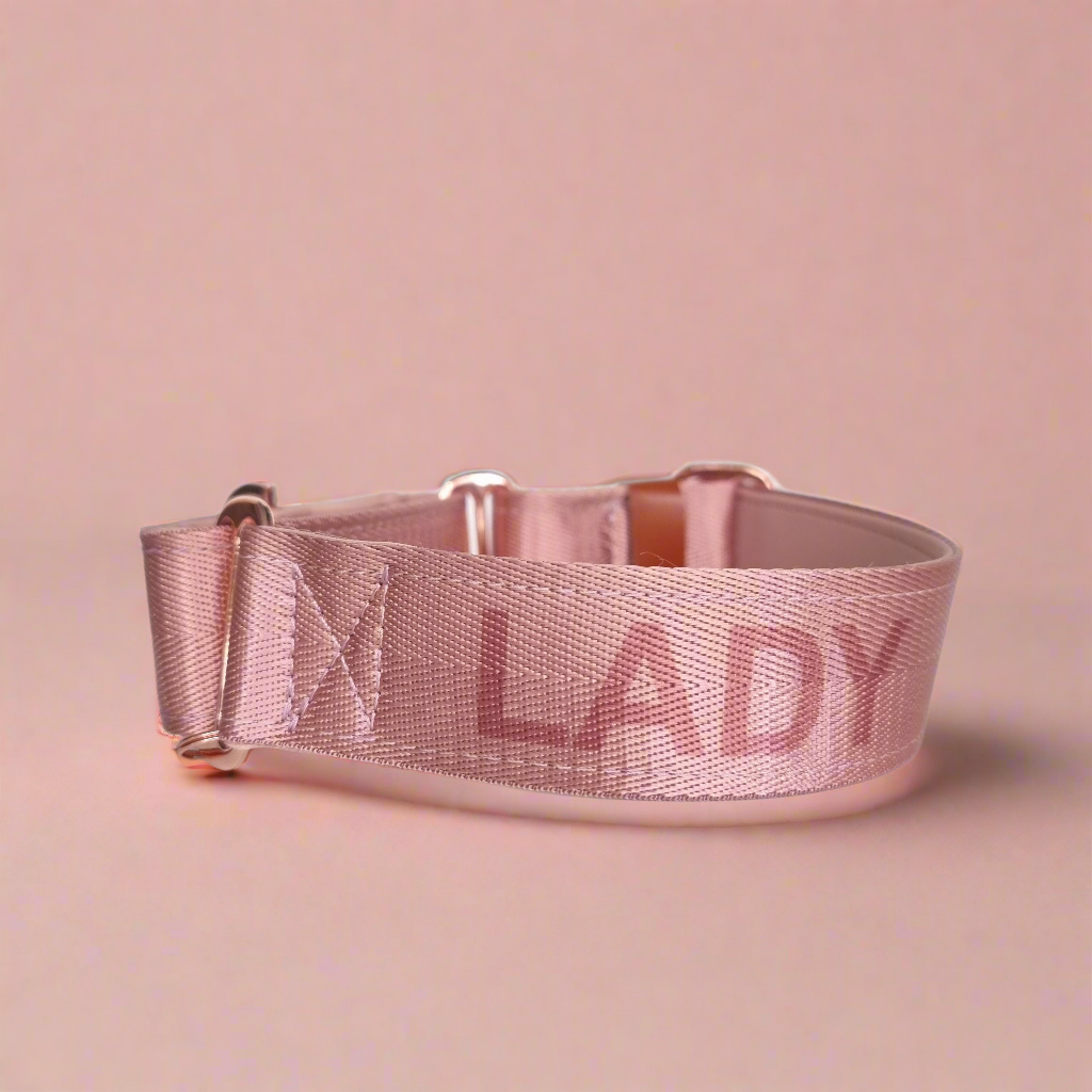 pink name martingale dog collar