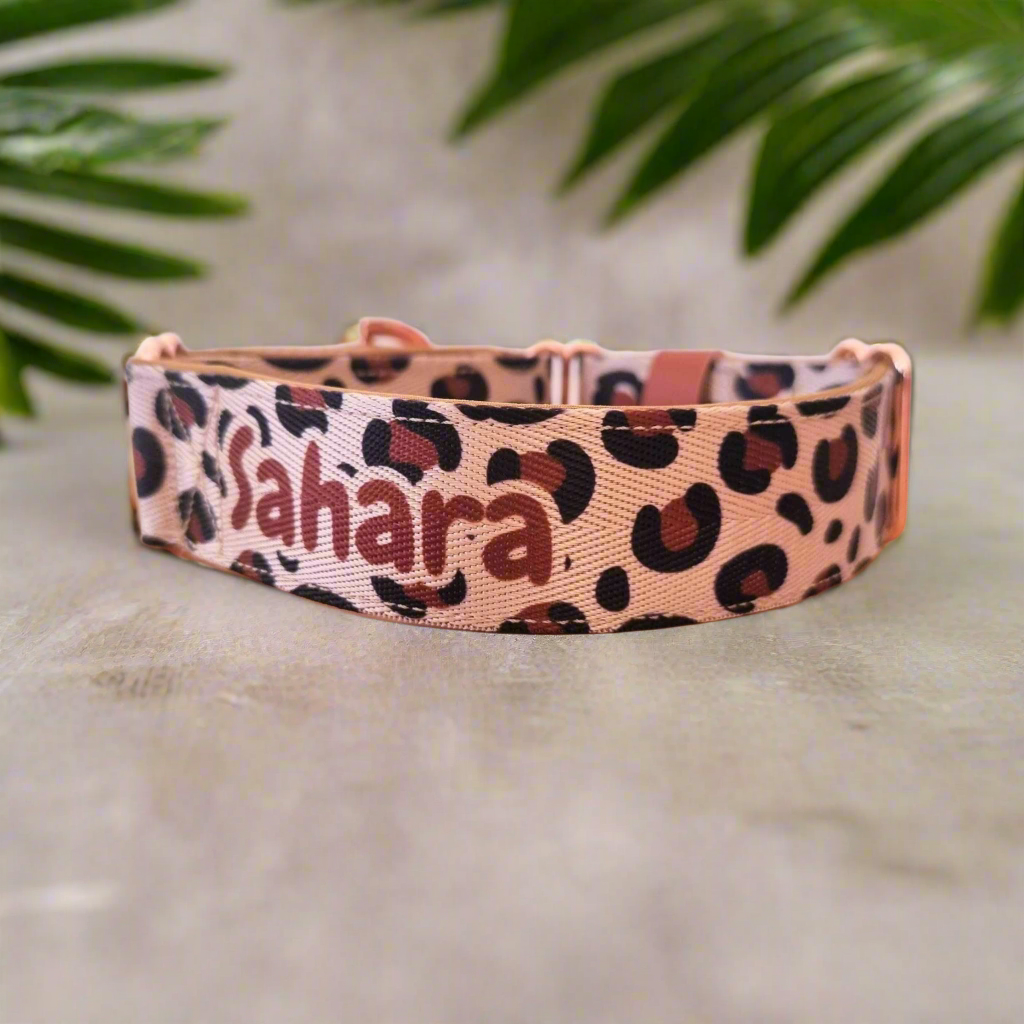 Personalised Martingale Collar with name and leopard print